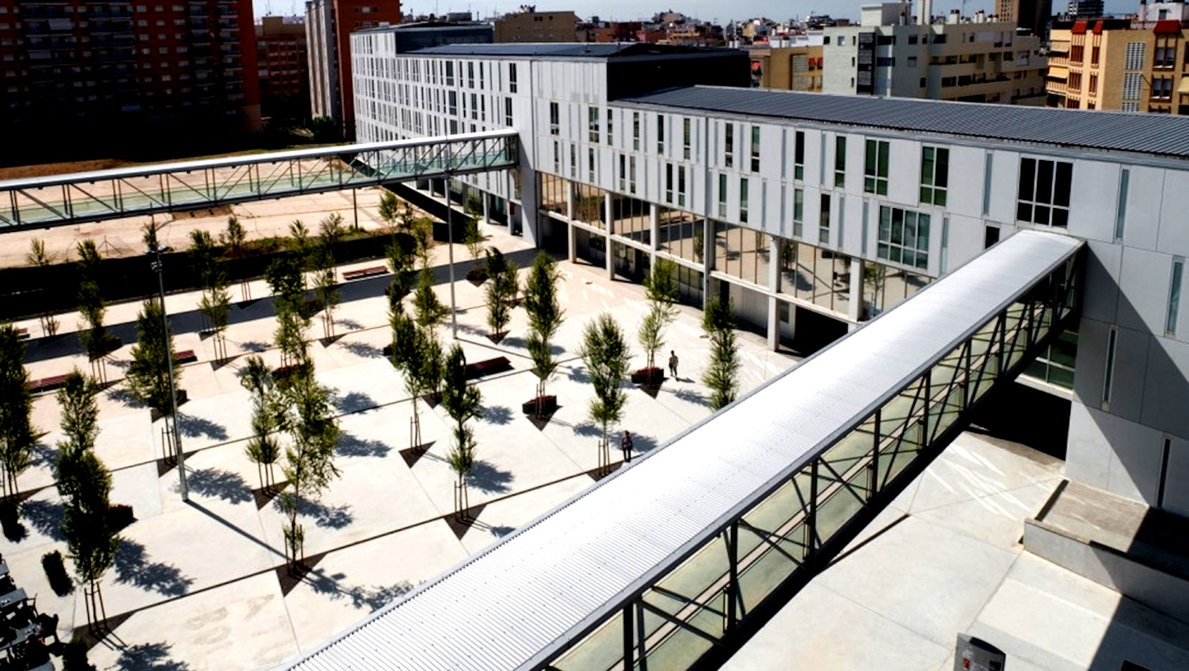 Social and Organisational Analysis